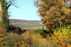 2021-10-24-Bild-060