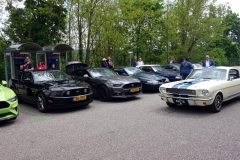 2023-05-13-Bild-013-WPoH-Webside