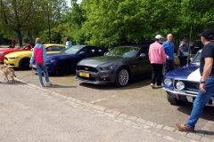 2023-05-14-Bild-006-WPoH-Webside