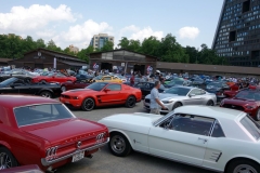 2024-08-03-Bild-038-Webside