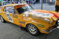 2024-10-13-Bild-018-WPoH-Webside