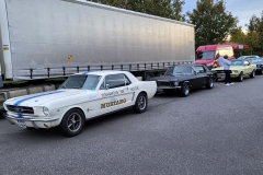 2024-10-13-Bild-029-WPoH-Webside