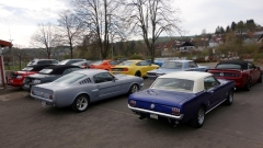 2025-04-05-Bild-053-Webside