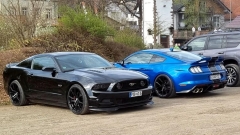 2025-04-05-Bild-059-Webside