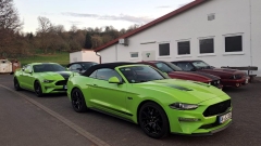 2025-04-05-Bild-060-Webside