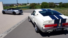 2025-05-10-Bild-080-Webside