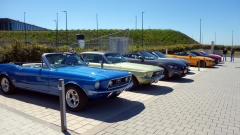 2025-05-10-Bild-092-Webside