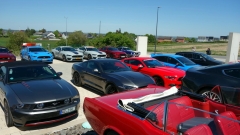 2025-05-10-Bild-095-Webside