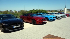 2025-05-10-Bild-097-Webside