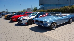 2025-05-10-Bild-100-Webside