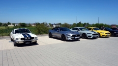 2025-05-10-Bild-111-Webside