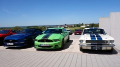 2025-05-10-Bild-113-Webside