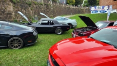 2025-09-27-Bild-006-Website