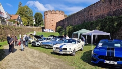 2025-09-28-Bild-012-Website