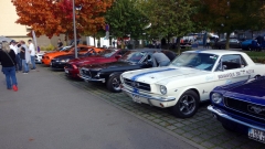 2025-10-11-Bild-066-Website