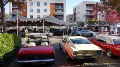 2025-10-12-Bild-007-Website