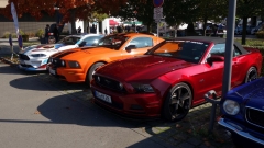 2025-10-12-Bild-031-Website