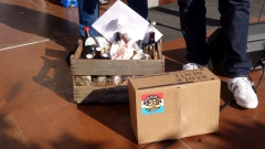 2025-10-12-Bild-043-Website