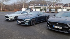 2026-02-07-Bild-006-Website