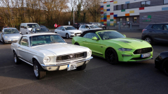 2026-03-08-Bild-002-Website