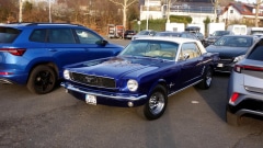 2026-03-08-Bild-003-Website