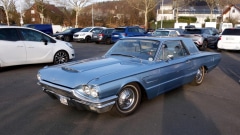 2026-03-08-Bild-005-Website