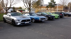 2026-03-08-Bild-006-Website