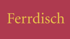 2026-03-08-Bild-024-Website