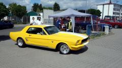 2026-07-19-Bild-035-Website