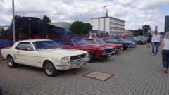 2026-07-19-Bild-038-Website