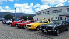 2026-07-19-Bild-052-Website
