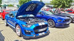2026-07-19-Bild-057-Website