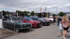 2026-07-19-Bild-147-Website