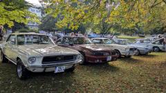 2026-10-03-1-Bild-007-Website