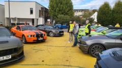 2026-10-11-Bild-027-Website