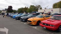 2026-10-11-Bild-031-Website