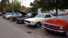 2026-10-11-Bild-035-Website