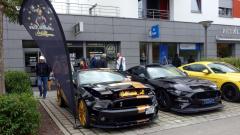 2026-10-11-Bild-037-Website