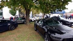 2026-10-11-Bild-040-Website