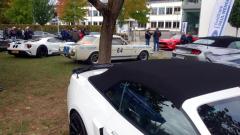 2026-10-11-Bild-047-Website