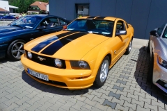 118_P1010664