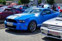 119_P1010665