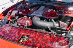 138_P1010684