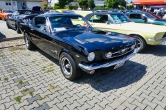 140_P1010686