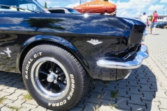 142_P1010688
