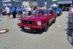 197_P1010743