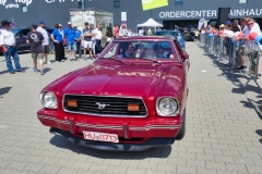 198_P1010744