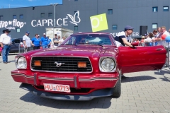 199_P1010745