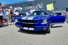 208_P1010754