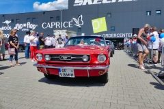 223_P1010769